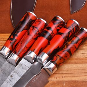 5 piece Damascus Steel Knives with Resin Handle and Leather bag
